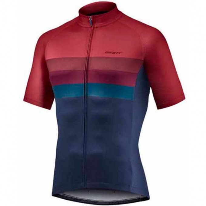 Джерси с коротким рукавом GIANT RIVAL red/navy TR-00041127 RED/NAVY Джерси с коротким рукавом GIANT RIVAL red/navy TR-00041127 RED/NAVY