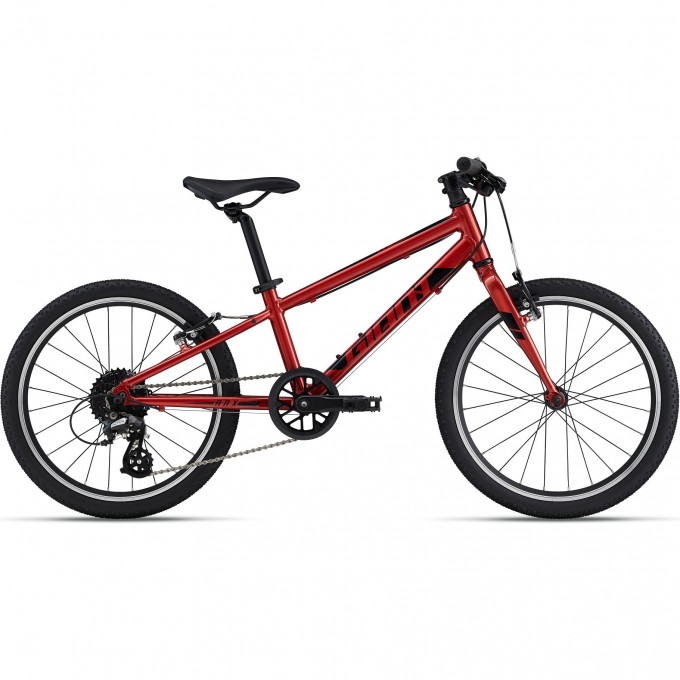 Велосипед детский GIANT ARX 20 (2021) grenadine 2204040 Grenadine Велосипед детский GIANT ARX 20 (2021) grenadine 2204040 Grenadine
