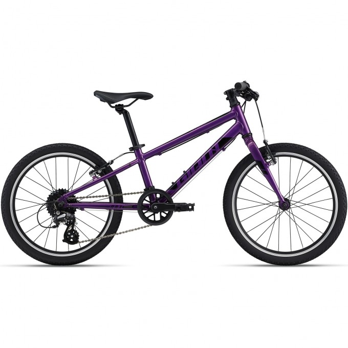 Велосипед детский GIANT ARX 20 (2021) purple 2204040 Purple Велосипед детский GIANT ARX 20 (2021) purple 2204040 Purple
