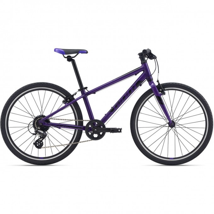 Велосипед детский GIANT ARX 24 (2021) purple 2104041 Purple Велосипед детский GIANT ARX 24 (2021) purple 2104041 Purple