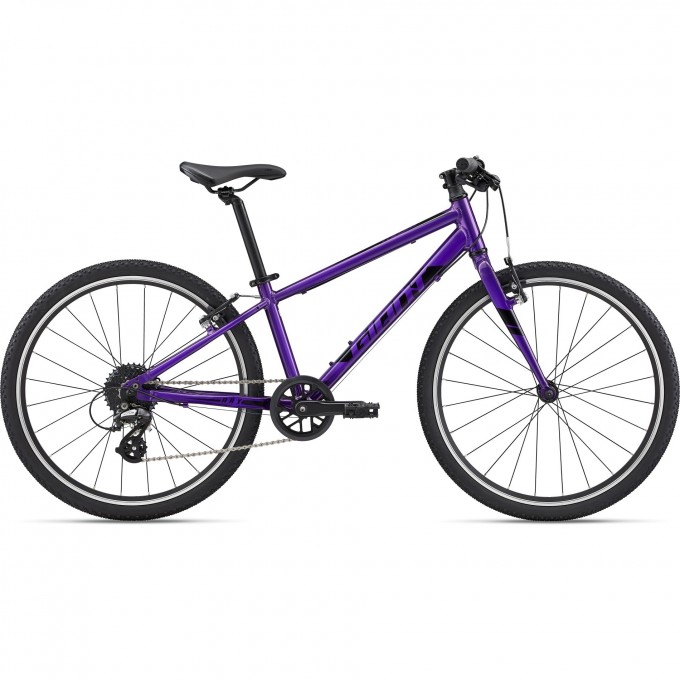 Велосипед детский GIANT ARX 24 (2021) purple 2204041 Purple Велосипед детский GIANT ARX 24 (2021) purple 2204041 Purple