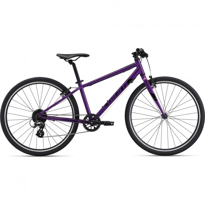 Велосипед детский GIANT ARX 26 (2021) фиолетовый 2204046 Велосипед детский GIANT ARX 26 (2021) фиолетовый 2204046