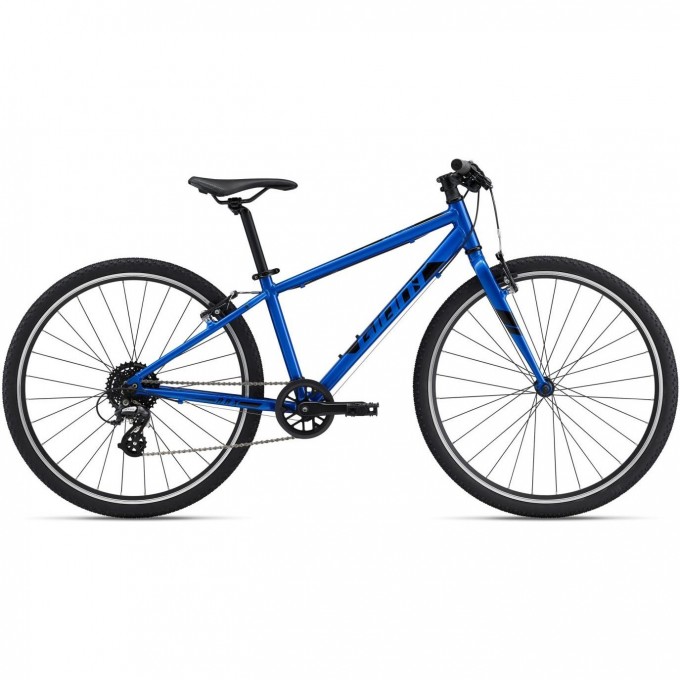 Велосипед детский GIANT ARX 26 (2021) sapphire 2204046 Sapphire Велосипед детский GIANT ARX 26 (2021) sapphire 2204046 Sapphire