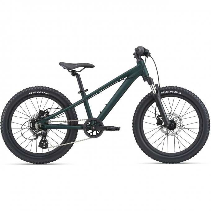 Велосипед детский GIANT STP 20 FS (2021) чёрный 2104024 Велосипед детский GIANT STP 20 FS (2021) чёрный 2104024