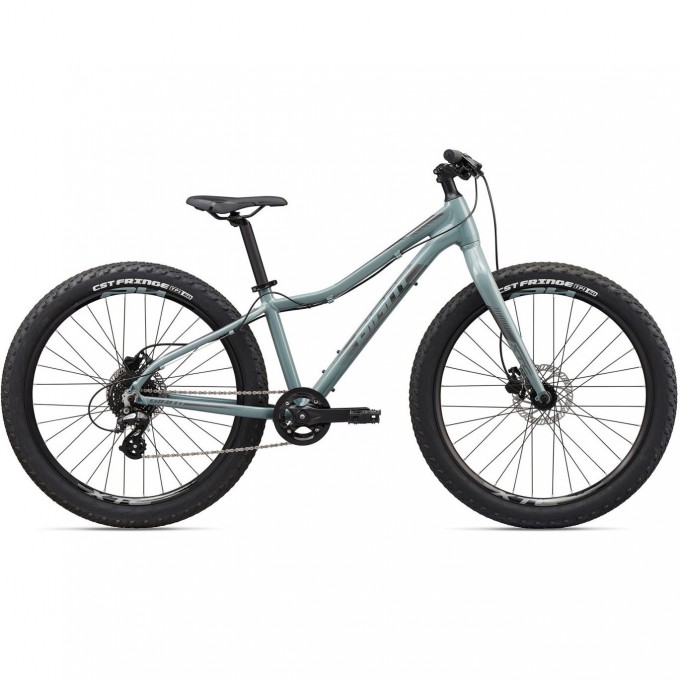 Велосипед подростковый GIANT XTC JR 26+ 2020 OneSizeOnly серый 2004013120 Велосипед подростковый GIANT XTC JR 26+ 2020 OneSizeOnly серый 2004013120